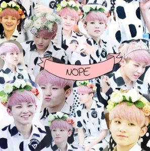 Meet your Posher, Rachael